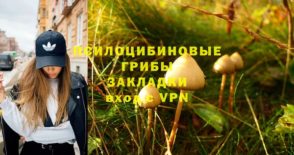каннабис Дмитров