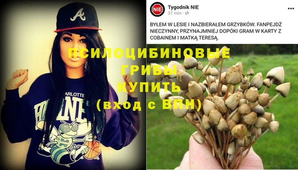 бутират Дмитриев