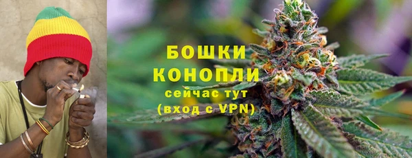 кокс Дмитровск