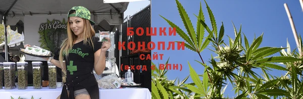 mdpv Гусь-Хрустальный