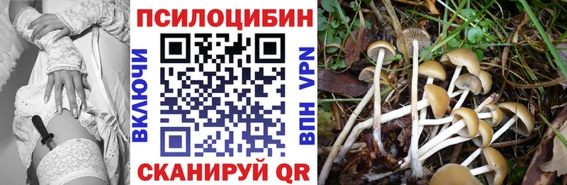 Псилоцибиновые грибы Cubensis  Ялта 